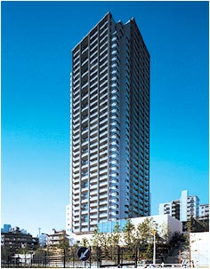 photo:DaikanyamaAddress