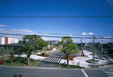 photo:JA Hyogominami Mori Branch