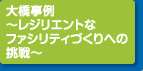 大橋事例 ～レジリエントなファシリティづくりへの挑戦～