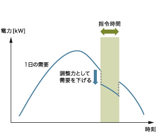 現物写真