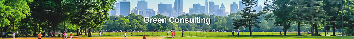 Green Consulting