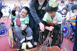 写真：収穫の模様