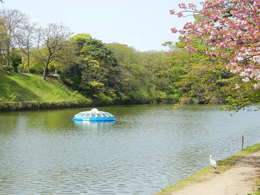 福岡市舞鶴公園内に設置されていた際の模様